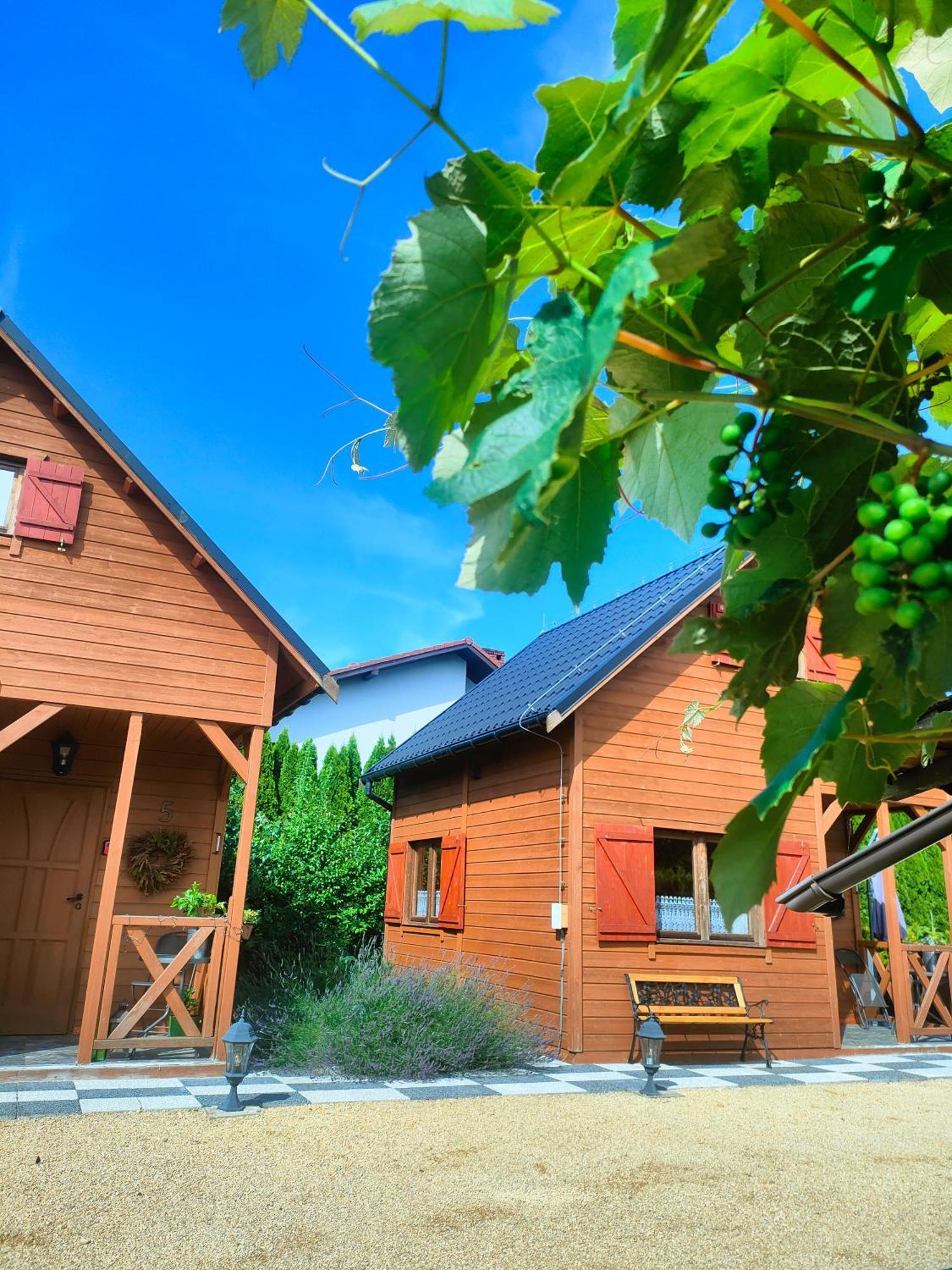 Chalet Na Winnicy Zator Przeciszow